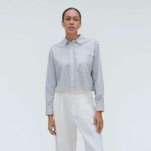 Everlane blue striped shirt
